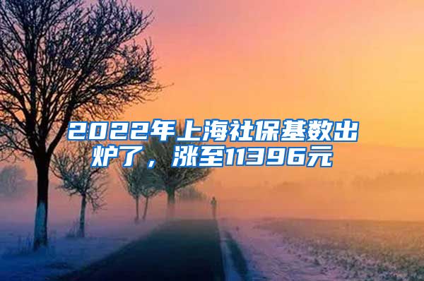 2022年上海社保基数出炉了，涨至11396元