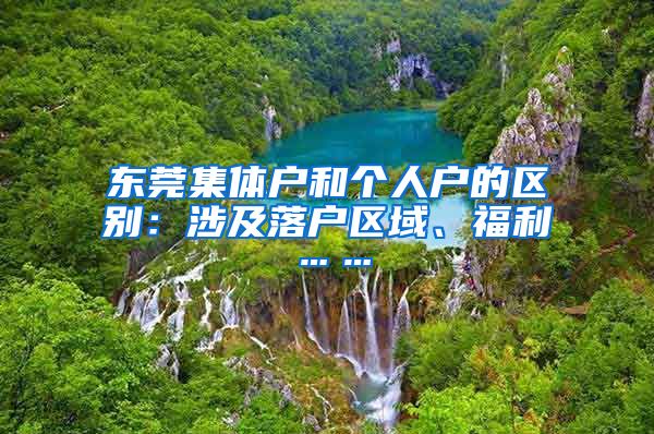 东莞集体户和个人户的区别：涉及落户区域、福利……