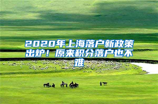 2020年上海落户新政策出炉！原来积分落户也不难