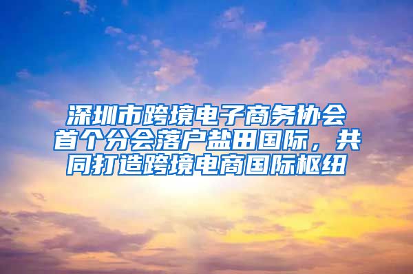 深圳市跨境电子商务协会首个分会落户盐田国际，共同打造跨境电商国际枢纽