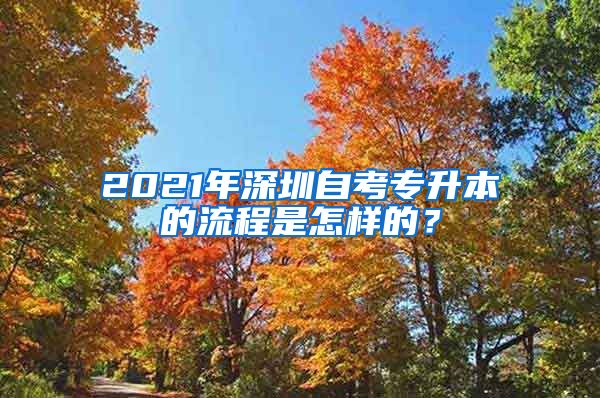 2021年深圳自考专升本的流程是怎样的？