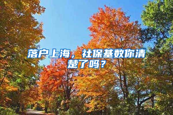 落户上海，社保基数你清楚了吗？