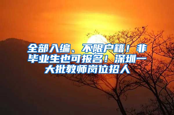 全部入编、不限户籍！非毕业生也可报名！深圳一大批教师岗位招人