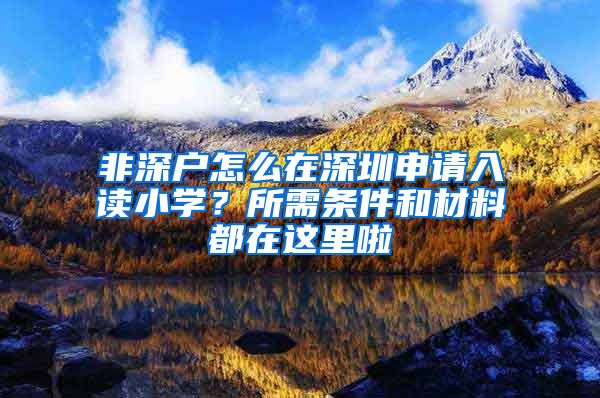 非深户怎么在深圳申请入读小学？所需条件和材料都在这里啦