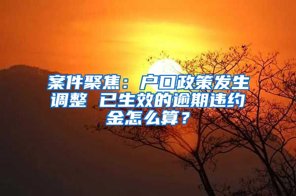 案件聚焦：户口政策发生调整 已生效的逾期违约金怎么算？