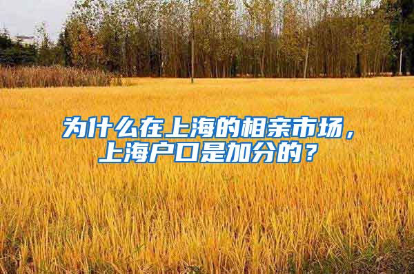 为什么在上海的相亲市场，上海户口是加分的？