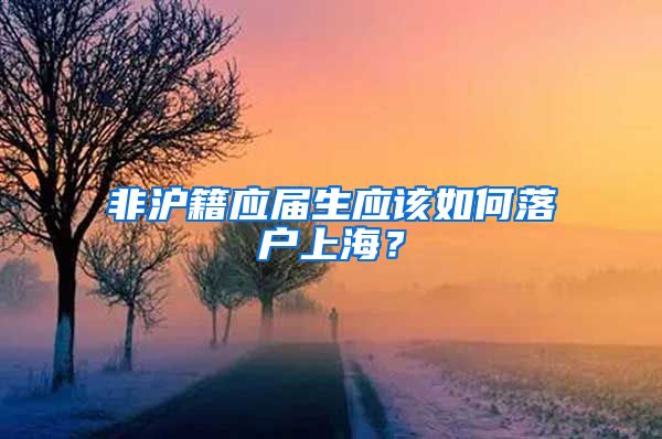 非沪籍应届生应该如何落户上海？