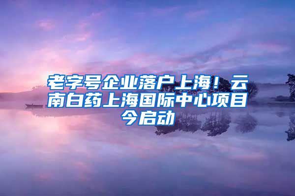 老字号企业落户上海！云南白药上海国际中心项目今启动