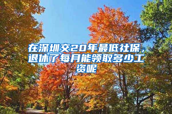 在深圳交20年最低社保，退休了每月能领取多少工资呢