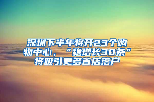 深圳下半年将开23个购物中心，“稳增长30条”将吸引更多首店落户