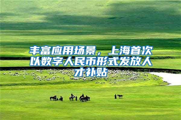 丰富应用场景，上海首次以数字人民币形式发放人才补贴