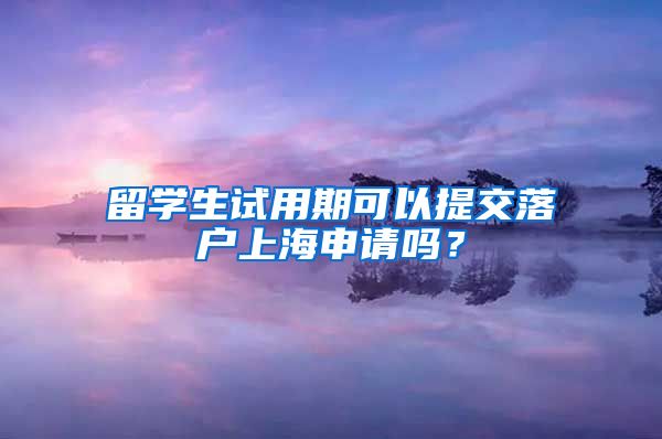 留学生试用期可以提交落户上海申请吗？