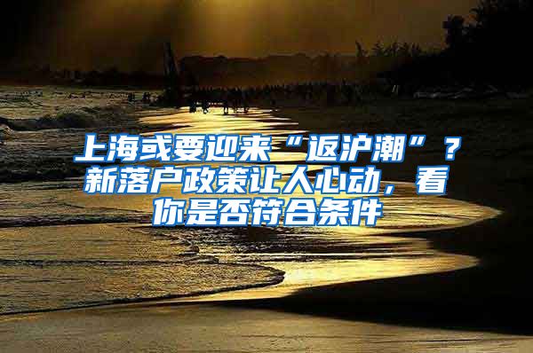 上海或要迎来“返沪潮”？新落户政策让人心动，看你是否符合条件