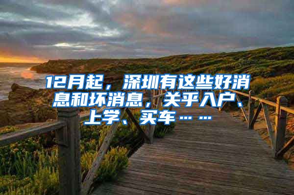 12月起，深圳有这些好消息和坏消息，关乎入户、上学、买车……