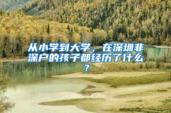 从小学到大学，在深圳非深户的孩子都经历了什么？