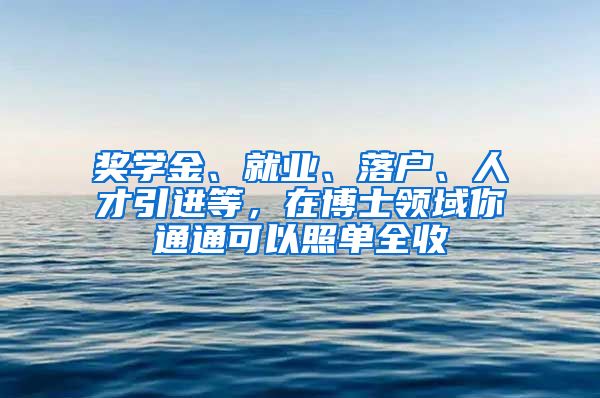 奖学金、就业、落户、人才引进等，在博士领域你通通可以照单全收