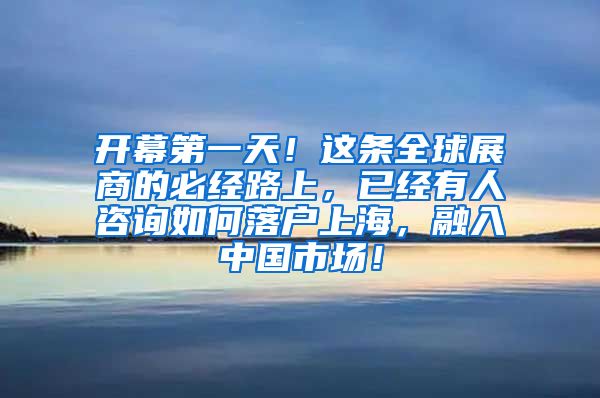 开幕第一天！这条全球展商的必经路上，已经有人咨询如何落户上海，融入中国市场！