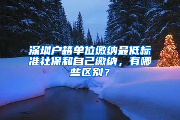 深圳户籍单位缴纳最低标准社保和自己缴纳，有哪些区别？