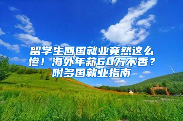 留学生回国就业竟然这么惨！海外年薪60万不香？附多国就业指南