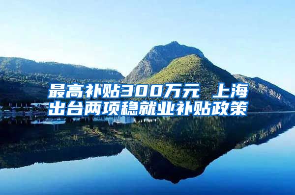 最高补贴300万元 上海出台两项稳就业补贴政策