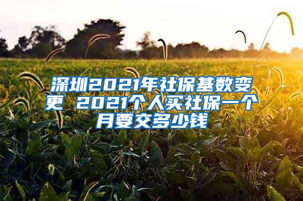 深圳2021年社保基数变更 2021个人买社保一个月要交多少钱