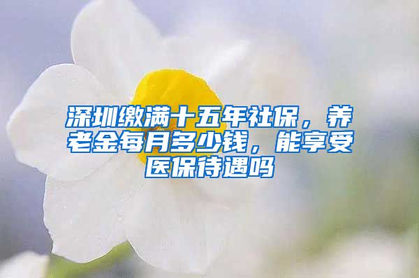 深圳缴满十五年社保，养老金每月多少钱，能享受医保待遇吗