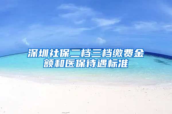 深圳社保二档三档缴费金额和医保待遇标准