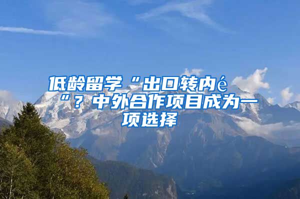 低龄留学“出口转内销“？中外合作项目成为一项选择