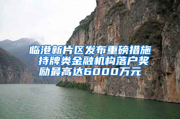 临港新片区发布重磅措施 持牌类金融机构落户奖励最高达6000万元