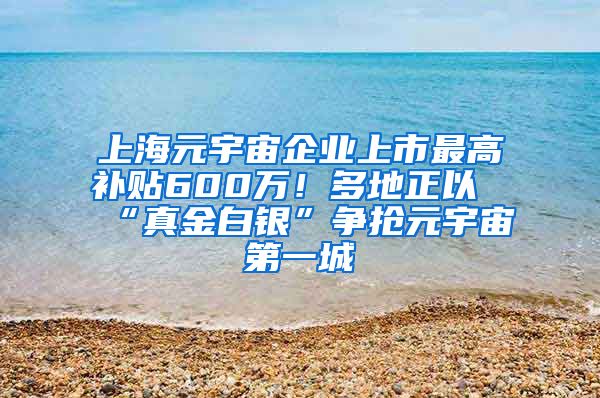 上海元宇宙企业上市最高补贴600万！多地正以“真金白银”争抢元宇宙第一城