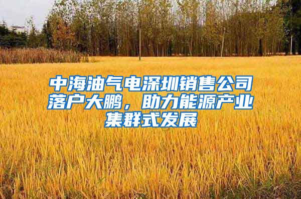 中海油气电深圳销售公司落户大鹏，助力能源产业集群式发展