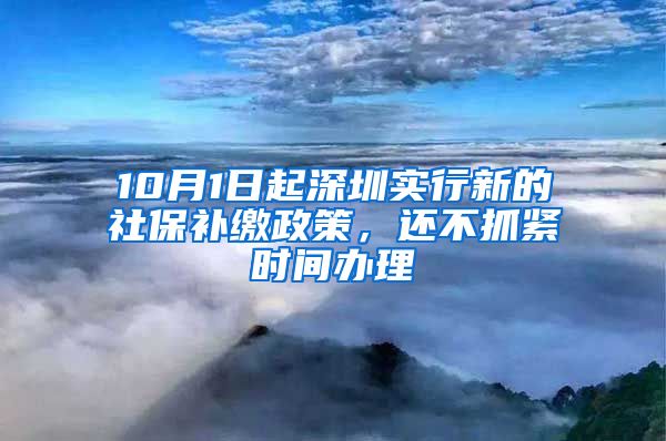 10月1日起深圳实行新的社保补缴政策，还不抓紧时间办理