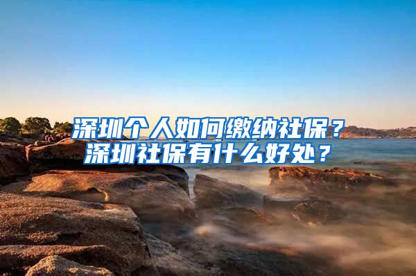 深圳个人如何缴纳社保？深圳社保有什么好处？