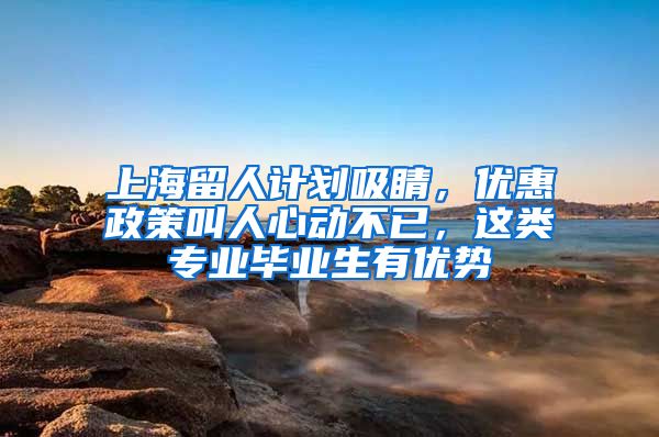 上海留人计划吸睛，优惠政策叫人心动不已，这类专业毕业生有优势