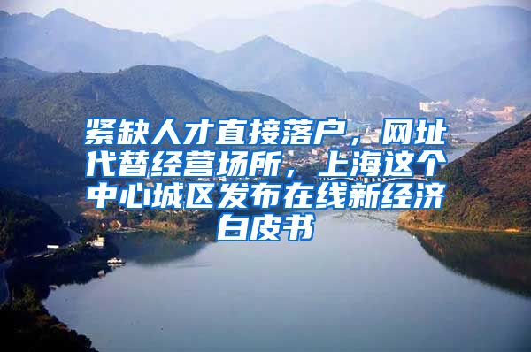 紧缺人才直接落户，网址代替经营场所，上海这个中心城区发布在线新经济白皮书