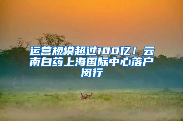 运营规模超过100亿！云南白药上海国际中心落户闵行