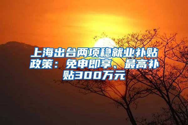 上海出台两项稳就业补贴政策：免申即享、最高补贴300万元