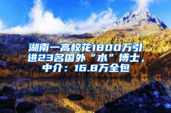 湖南一高校花1800万引进23名国外“水”博士，中介：16.8万全包