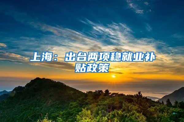 上海：出台两项稳就业补贴政策