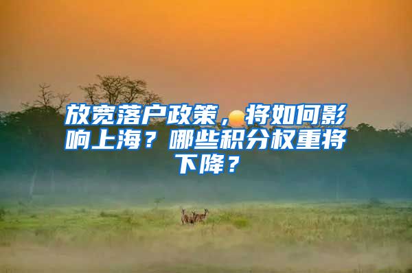 放宽落户政策，将如何影响上海？哪些积分权重将下降？