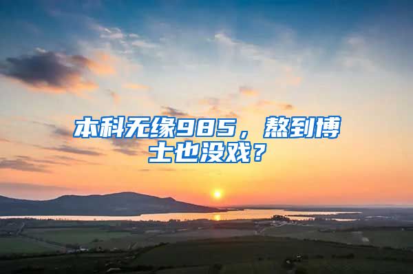 本科无缘985，熬到博士也没戏？