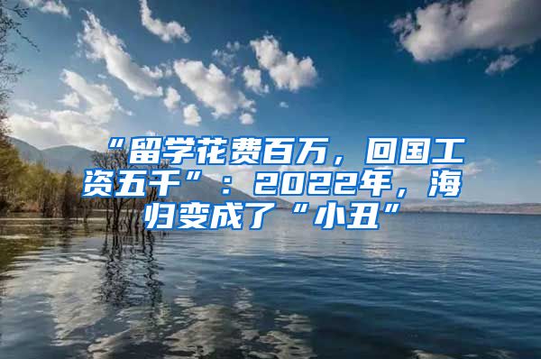 “留学花费百万，回国工资五千”：2022年，海归变成了“小丑”