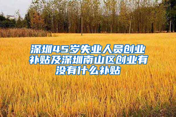 深圳45岁失业人员创业补贴及深圳南山区创业有没有什么补贴