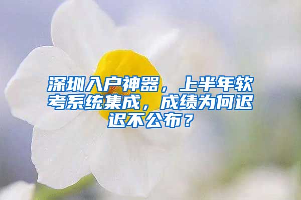 深圳入户神器，上半年软考系统集成，成绩为何迟迟不公布？