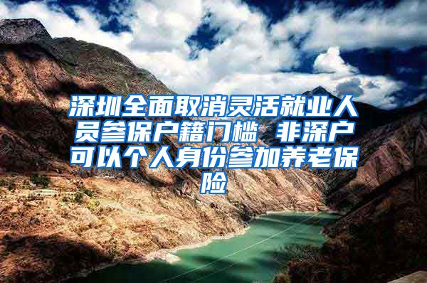 深圳全面取消灵活就业人员参保户籍门槛 非深户可以个人身份参加养老保险