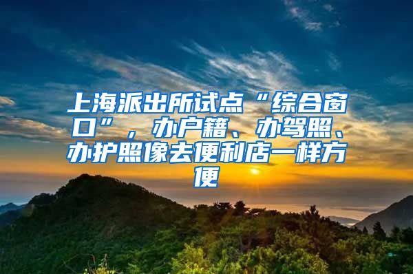 上海派出所试点“综合窗口”，办户籍、办驾照、办护照像去便利店一样方便