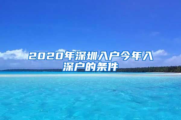 2020年深圳入户今年入深户的条件