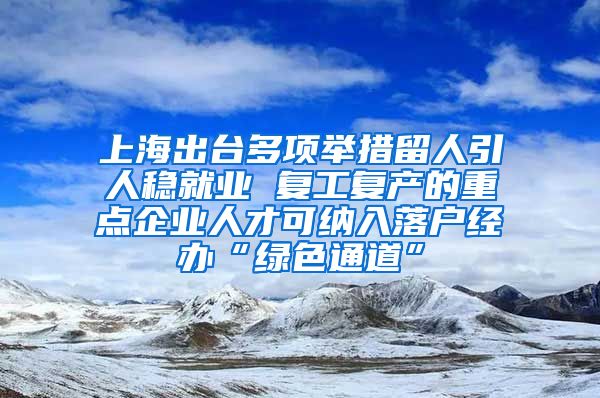 上海出台多项举措留人引人稳就业 复工复产的重点企业人才可纳入落户经办“绿色通道”