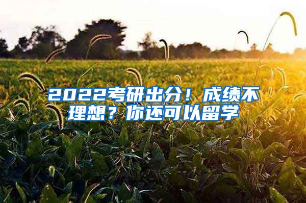 2022考研出分！成绩不理想？你还可以留学