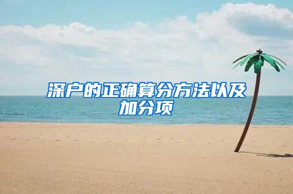 深户的正确算分方法以及加分项